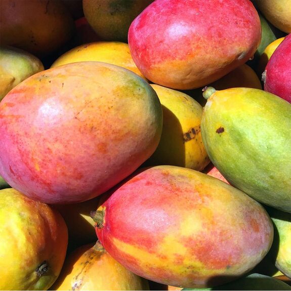 манго вьетнам казань доставка